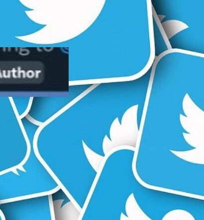 Twitter, Yanıtların 'Tweet Sahibi Tarafından Beğenildiğini' Gösteren Yeni Bir Özelliği Test Ediyor
