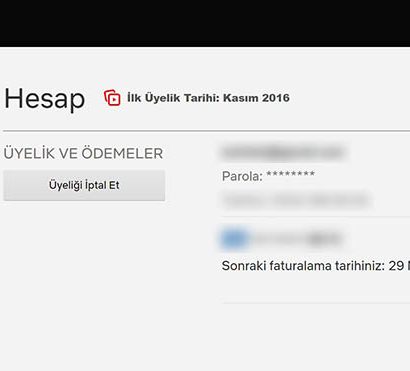Netflix üyeliğini iptal etme [Nasıl yapılır?]