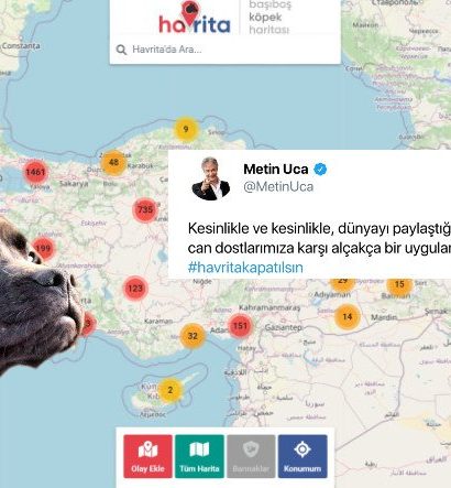 Sokak Köpeklerinin Konumunu Gösteren 'Havrita' Uygulaması Tartışmalara Sebep Oldu: Ünlülerden de Tepki Yağdı