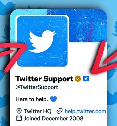 Twitter, Şimdi de Profil Fotoğraflarının Şeklini Değiştirdi: 'Çalışanlara Özel' Onay Rozeti Geliyor!