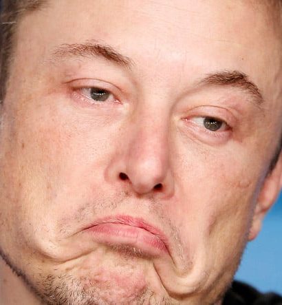 Elon Musk’tan İtiraf Yağmuru: Twitter'ın CEO'su Ben Değilim, Köpeğim Floki